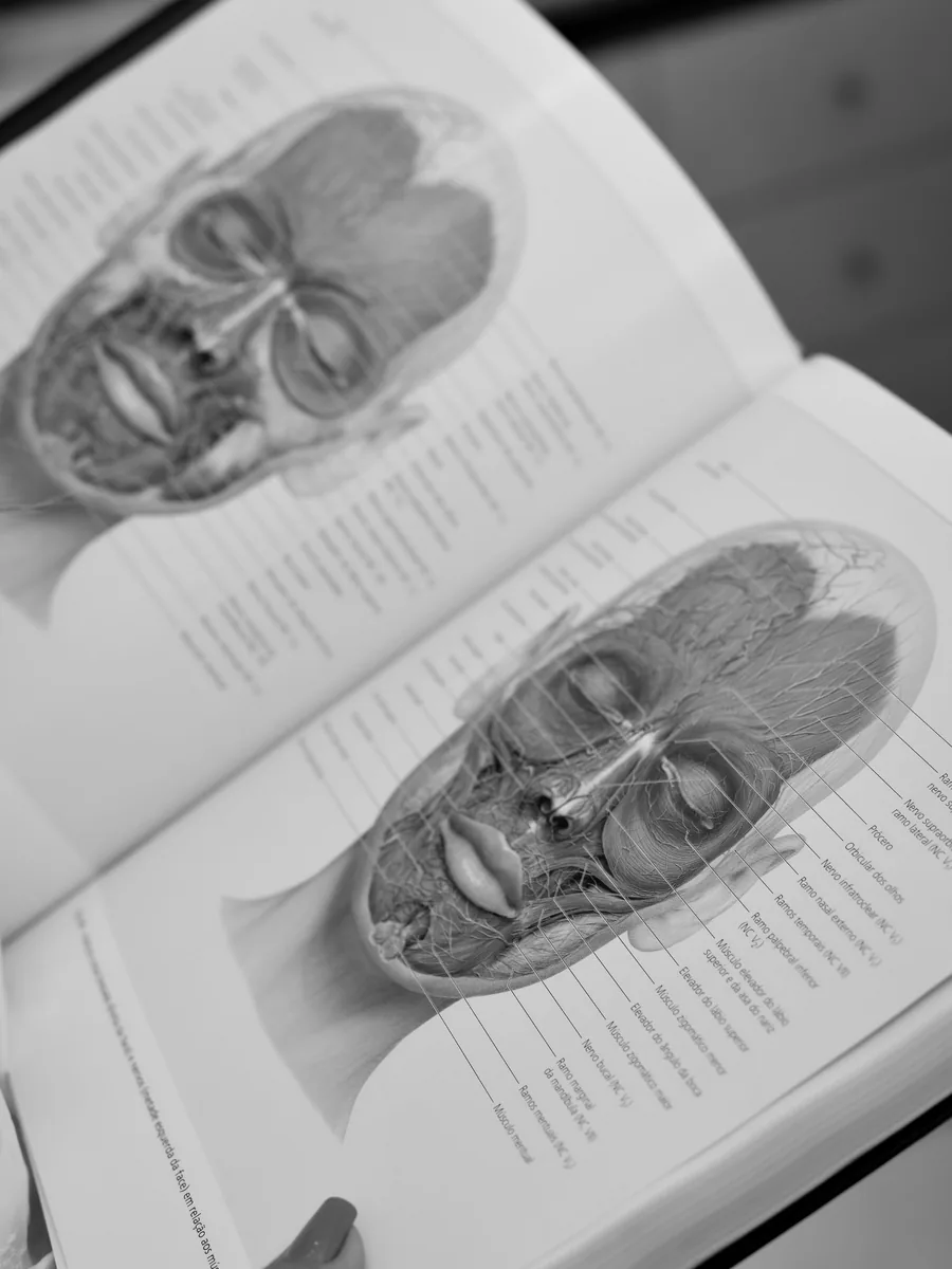 Anatomical plates of the face showing the muscles and nerve branches of the jaw and temple