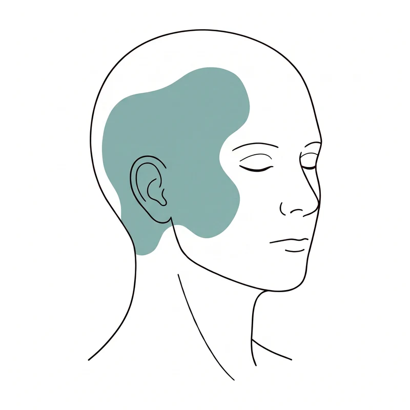 Head diagram: pain shaded from the upper neck into the temple and above the ear
